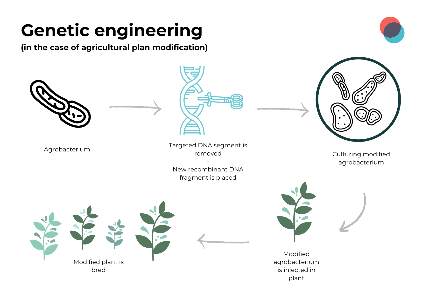 Genetic Engineering Labtoo